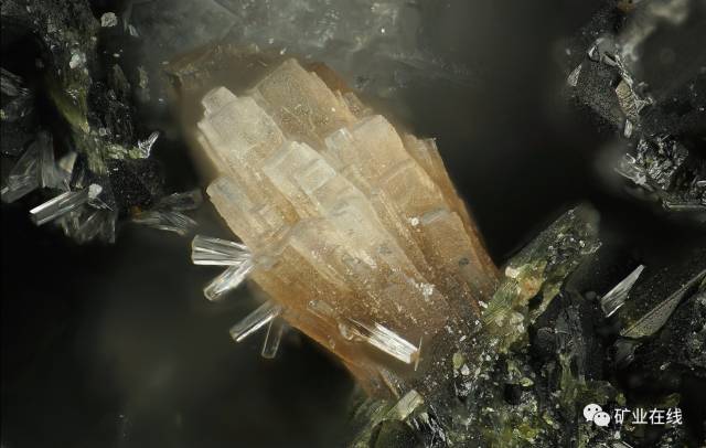 3fdaaee26d40454111d6d0c231625492.jpg 22.jpg