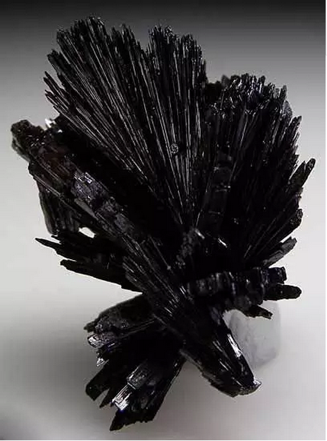 aacd319aa0fb564a5f6655f85d3c90d9.png 31.png