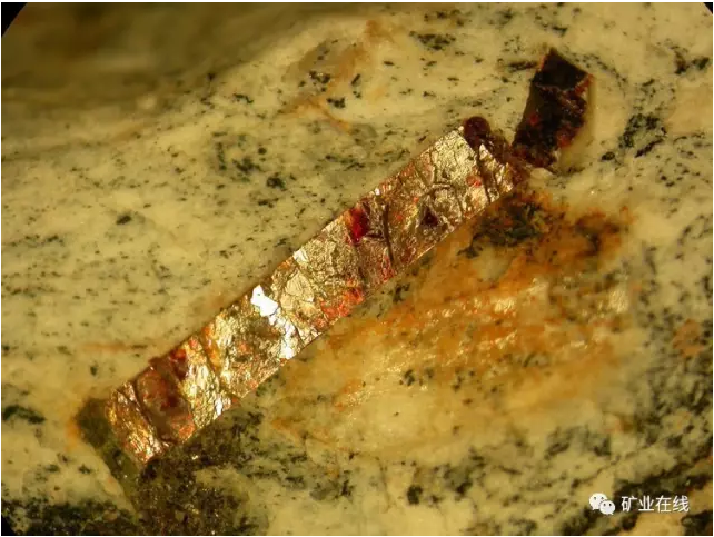 b7c89f736728614a4f2e2fc227e4350d.png 6.png