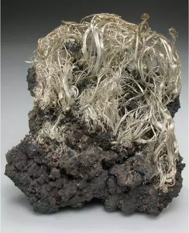 fb4e073e24dd2044d6407639bed40a01.png 7.png